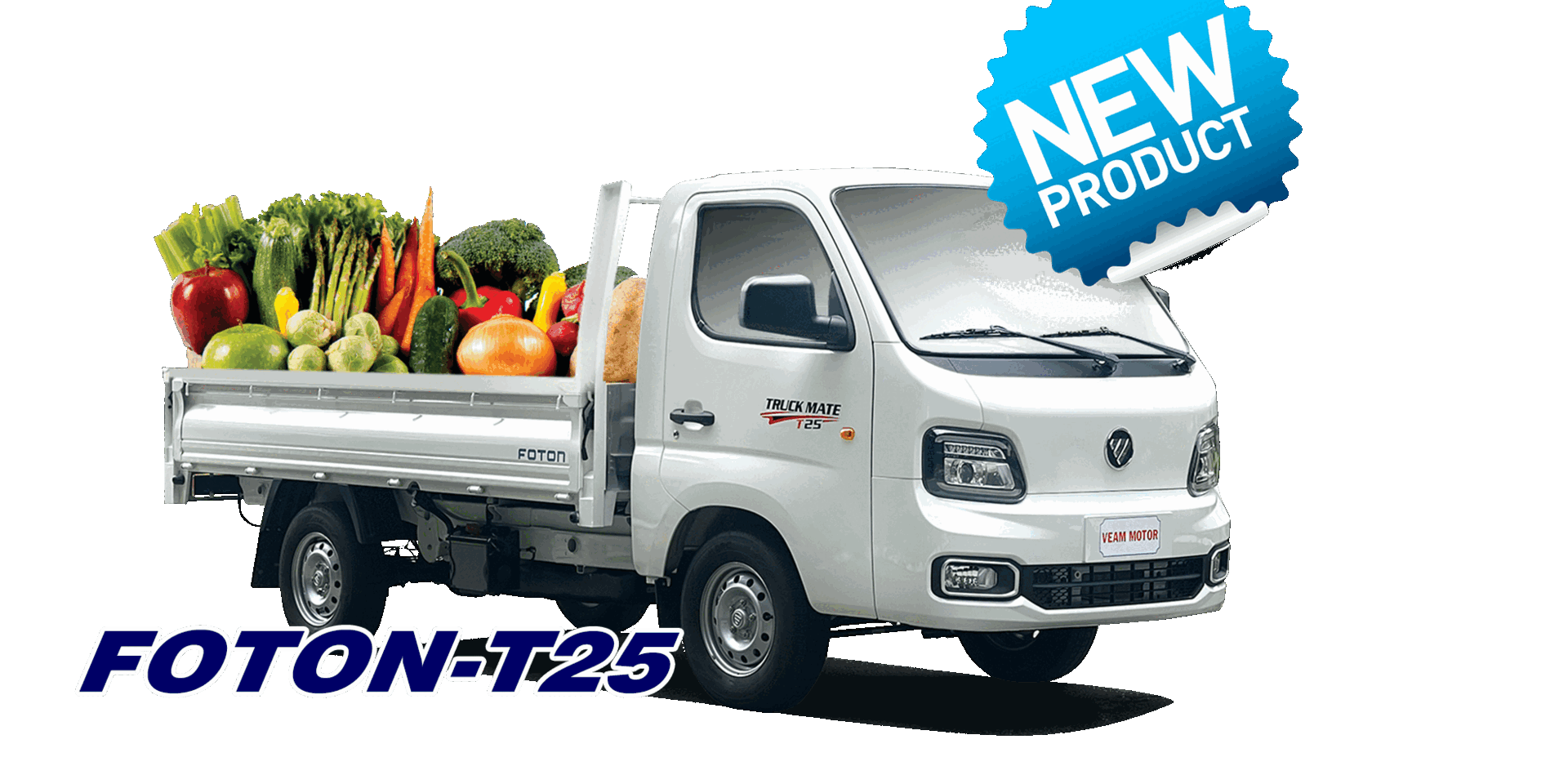 VEAM FOTON T25